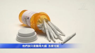 艾尔蒙地市要建大麻基地　华人抗议