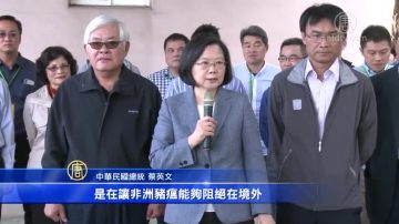 厨馀养猪未蒸煮 台农委会将辅导改用饲料