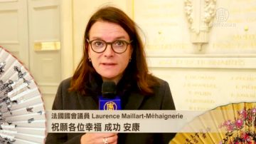 法国国会议员Méhaignerie与Peyron女士拜年