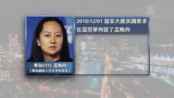 孟晚舟3本香港護照3個姓名 港保安局長:不正常