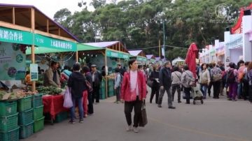 非洲猪瘟恐慌 港人办年货拒肉制品