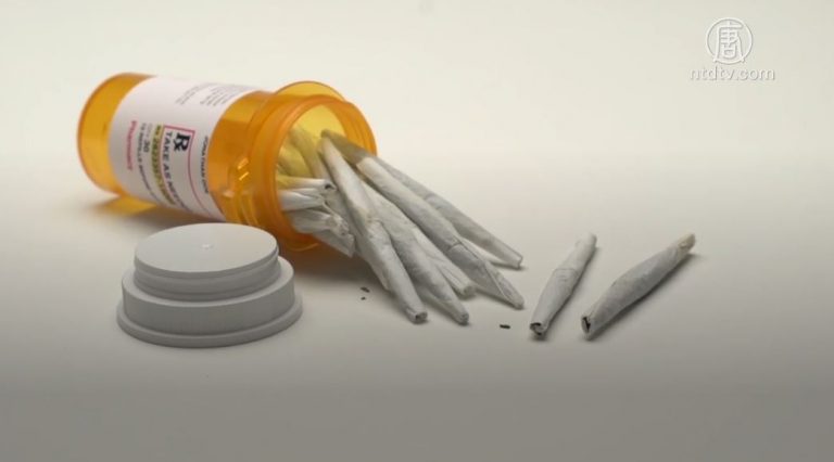加拿大安省肺病協會出資研究大麻健康影響