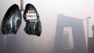 研究：陰霾讓中國人減壽3年 6天肺即變「黑」