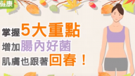 增加腸道健康 5大重點要知道（視頻）