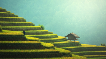 「有」心則靈 敬天重德有點化（上）