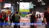 推广“小镇漫游”台湾旅展书法品茶吸睛