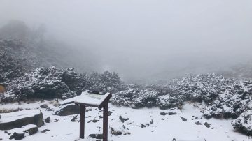 冷气团发威 合欢山路面结冰 限加雪炼车辆通行