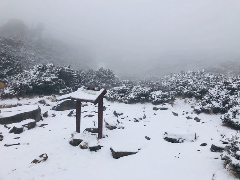 冷氣團發威 合歡山路面結冰 限加雪鍊車輛通行