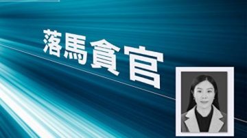 从小科员到副市长 甘肃女官靠陪睡数十官员上位