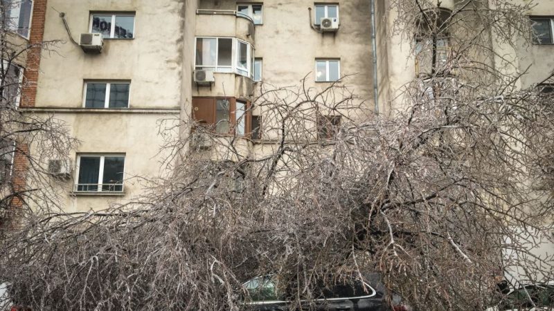 冰雨釀禍 羅馬尼亞首都樹倒車損航班延誤