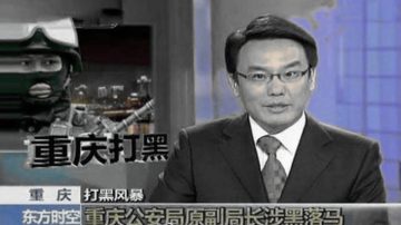 央视名主持张羽离职 被曝江泽民座前“小鬼”