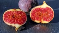 無花果養血管、增加免疫力、抗老、抗癌（視頻）