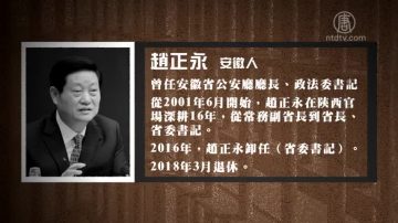 陈思敏：崔永元再发声 谁是下一个赵正永