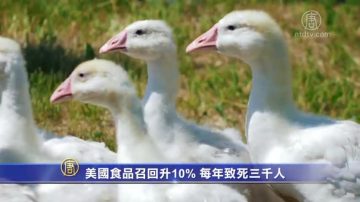 美國食品召回自2013年升10% 每年致死三千人