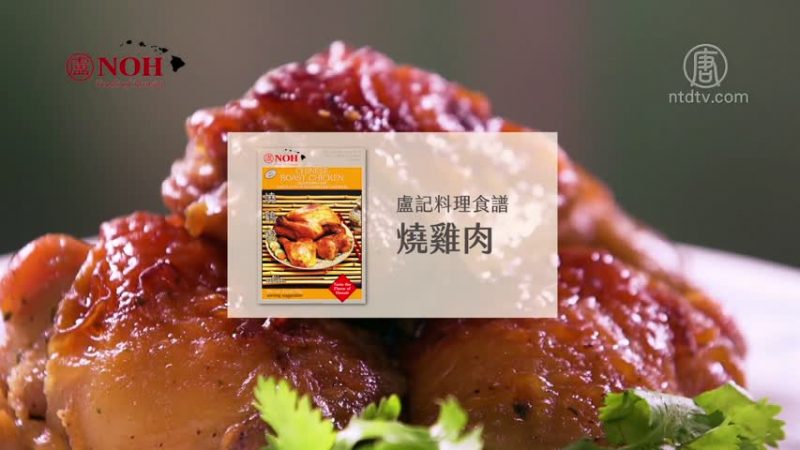 【广告】卢记料理食谱 烧鸡肉