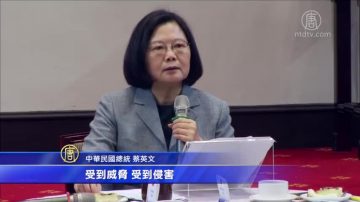 蔡英文倡政党不提“九二共识”吁国际协助