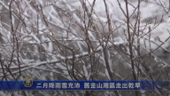 二月降雨雪充沛 旧金山湾区走出干旱