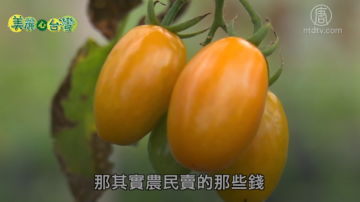 美麗心台灣：阿甘的有機農業夢