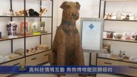 高科技情境互动 狗狗博物馆回归纽约