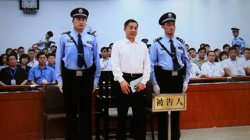 习近平设局薄熙来中计 从轻蔑冷笑到握拳咆哮