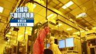 晶圓報廢達10萬片台積電內控管理受矚目