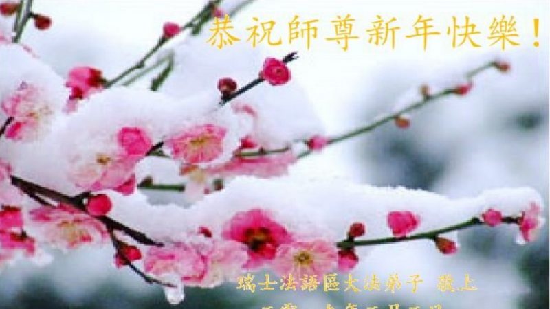 海外50多个国家和地区法轮功学员恭祝李洪志大师新年快乐