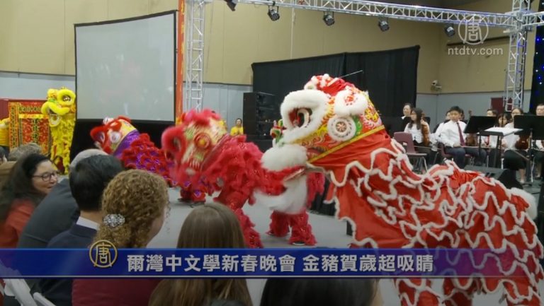 爾灣中文學校新春晚會 金豬賀歲超吸睛