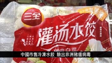 中國一分鐘：中國市售冷凍水餃 驗出非洲豬瘟病毒