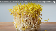 輕鬆發綠豆芽 營養價值很高（視頻）