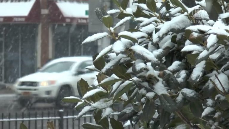 黃曆新年剛過 紐約迎春雪 雪後回溫