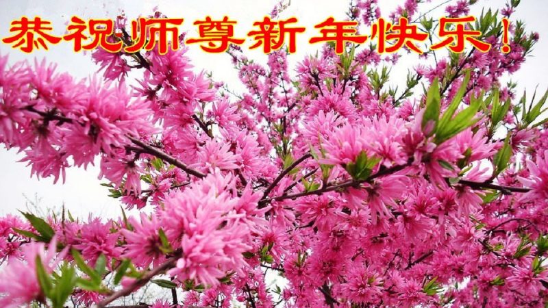 鄉村大法弟子恭祝李洪志大師新年好