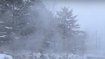 寒流强袭北海道 东京暴雪至少141航班停飞