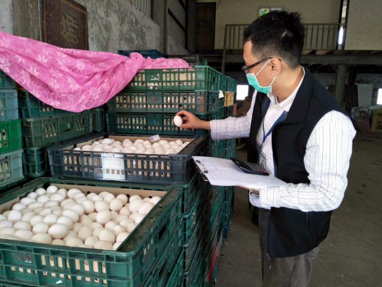 台發現芬普尼毒蛋 醫師提供因應方法
