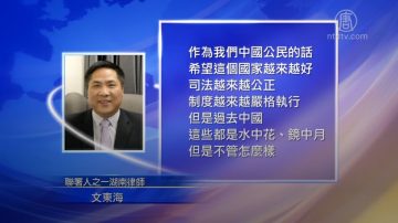 兩會在即 中國律師和維權人士聯署提案修憲