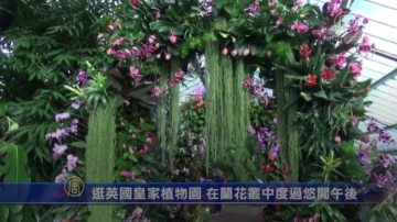 逛英國皇家植物園 在蘭花叢種度過悠閑午後