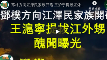 鄧朴方向江澤民家族開砲 王滬寧提拔江外甥 醜聞曝光