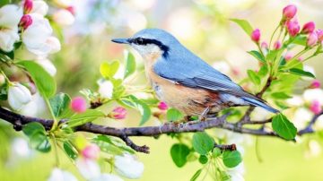 立春節氣至 「春到人間一卷之」