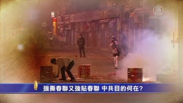 文武：中共全面依法治國就是全面不依法治國