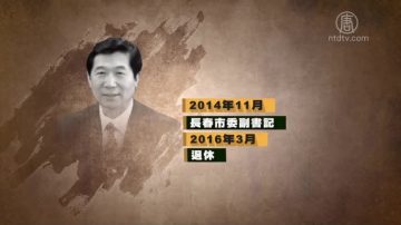 吉林長春原市委副書記楊子明被調查