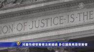 纽约儿童性侵受害者法案通过 多位议员竟是受害者