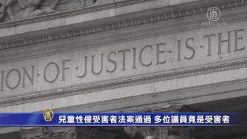 紐約兒童性侵受害者法案通過 多位議員竟是受害者