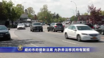 纽约市府提新法案 允许非法移民持有驾照