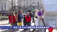 新法上路 中央公園觀光馬車或將逐漸消失