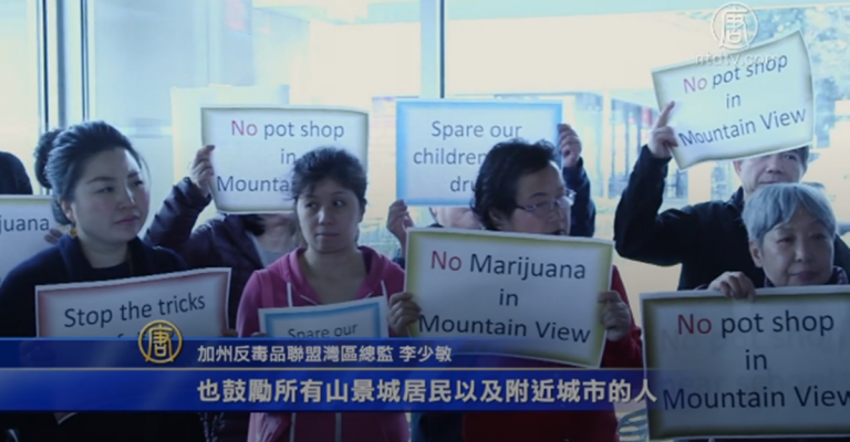 開放大麻業？ 山景城市議會擬推翻前案