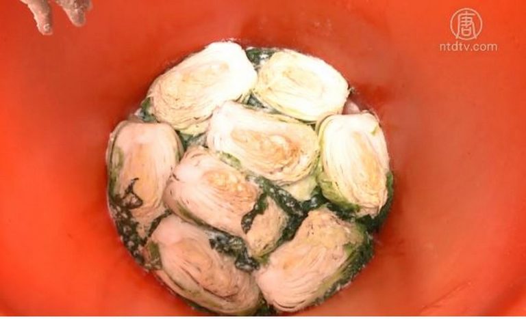 傳承東北酸白菜做法 手藝分享鄰里