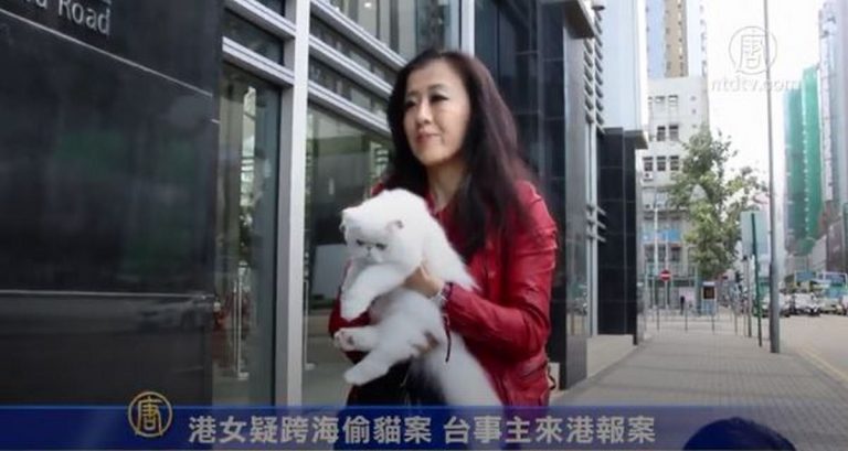 港女疑跨海偷貓案 台事主來港報案
