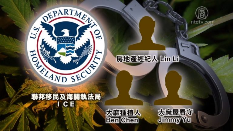 南加州查獲非法大麻屋 資金來自中國