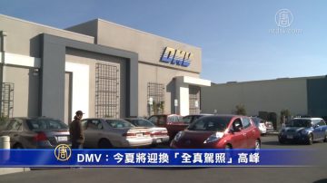 DMV：今夏將迎換「全真駕照」高峰