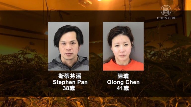 舊金山警方突襲大麻種植屋 2華人被捕