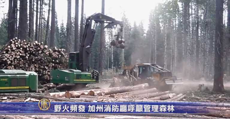 野火頻發 加州消防廳呼籲管理森林